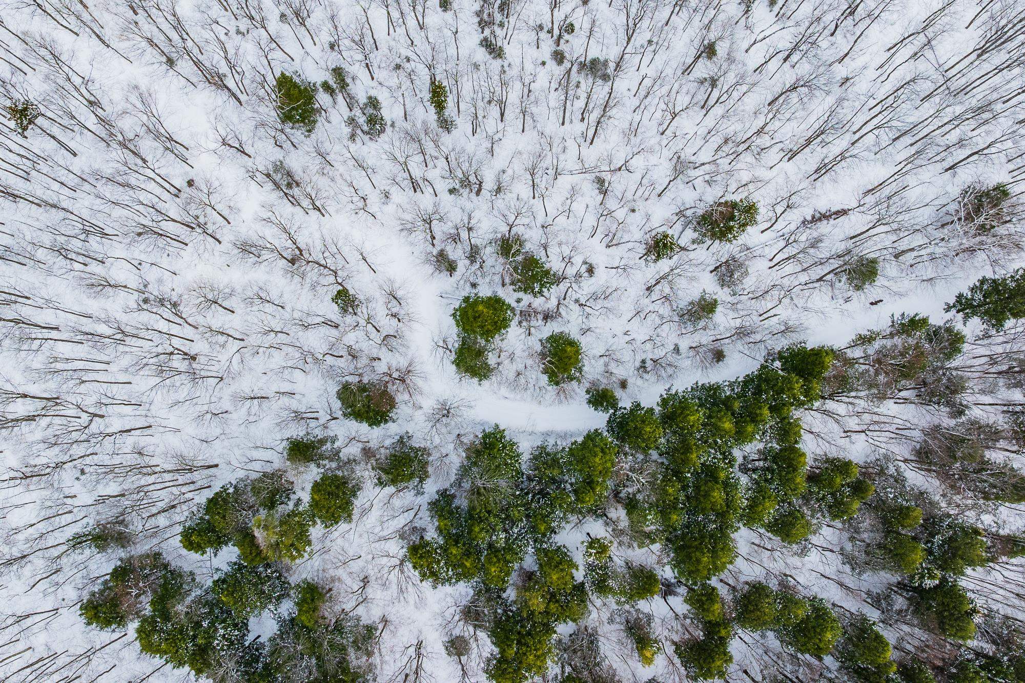 557 Trager Road Jamaica, VT 05343 - Photo 60 of 60