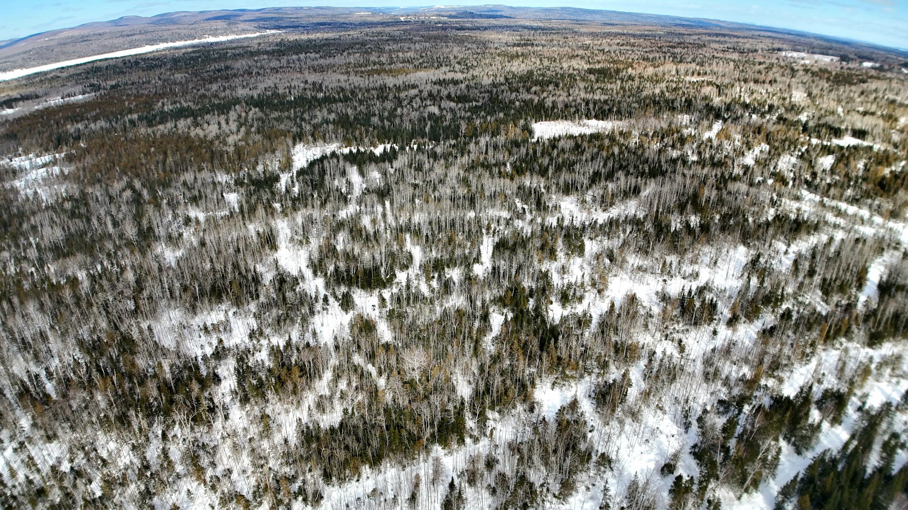 M2-l51 Quimby Road Winterville Plt, ME 04739 - Photo 4 of 9 dji_fly_20260301_120617_0_1772405229251_
