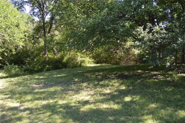 a view of a lush green space