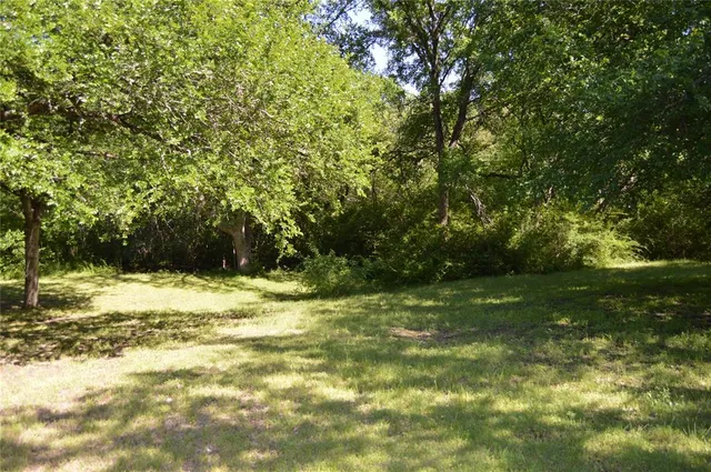 a view of a yard with a trees