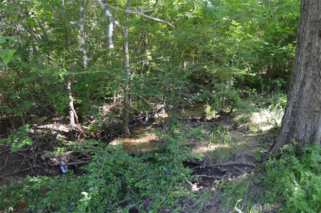 Tbd Holiday Lane Pottsboro, TX 75076 - Photo 6 of 7 a view of a forest with lots of trees