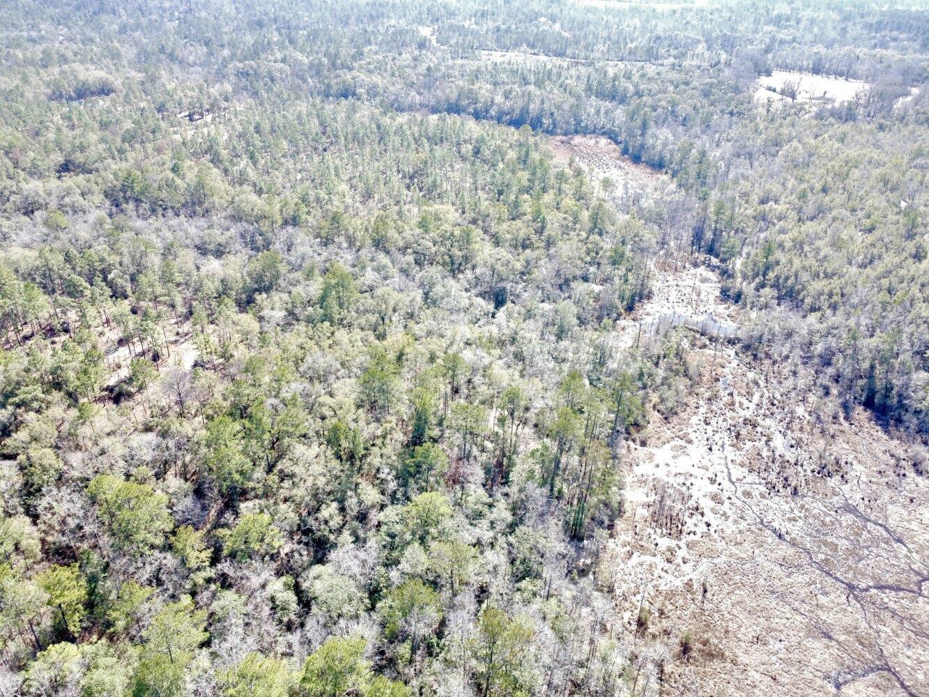 0 Dixon Road Bay Minette, AL 36507 - Photo 11 of 50