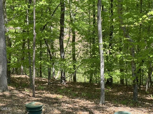 101 Stillwater Lane Roxboro, NC 27574 - Photo 30 of 38 IMG_6013