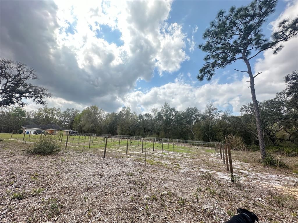 9095 Real Stone Webster, FL 33597 - Photo 3 of 5 Gallery Image 3