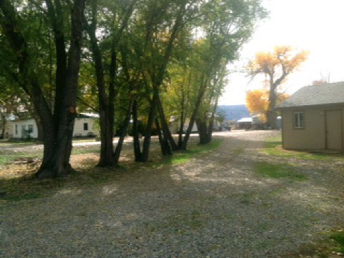 2012 J J 1/2 Road Fruita, CO 81521 - Photo 28 of 36 a view of a tree in the middle of a yard