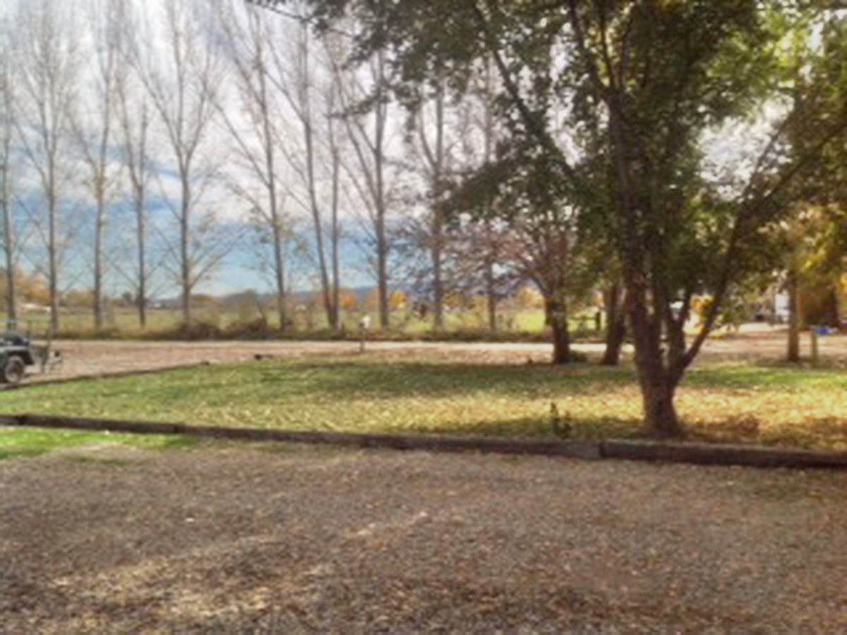 2012 J J 1/2 Road Fruita, CO 81521 - Photo 29 of 36 a view of dirt yard with a large tree