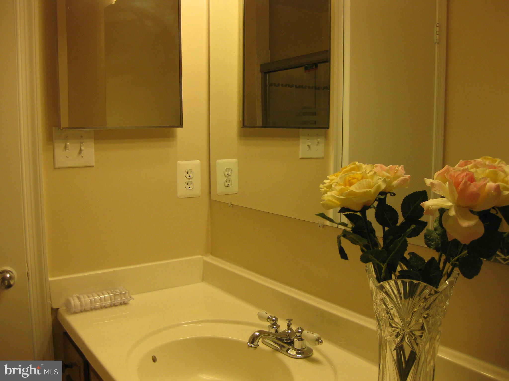 2232 Falling Creek Road Silver Spring, MD 20904 - Photo 20 of 29 Bath