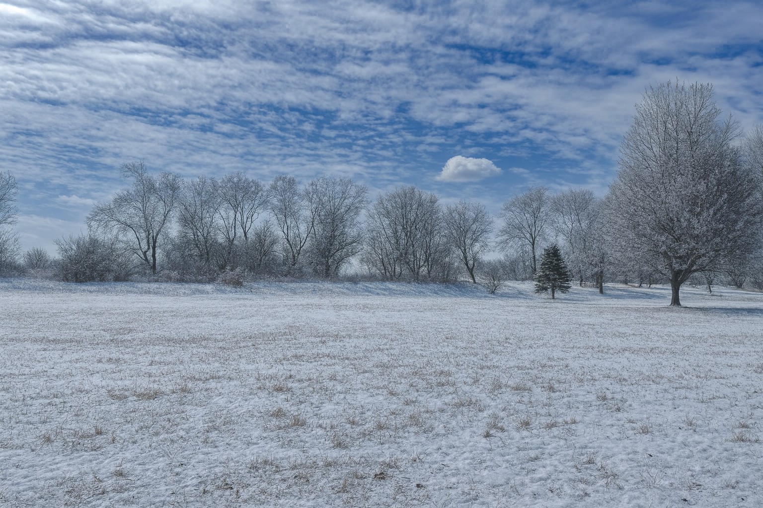 5205 Kaylins Way Ringwood, IL 60072 - Photo 1 of 5