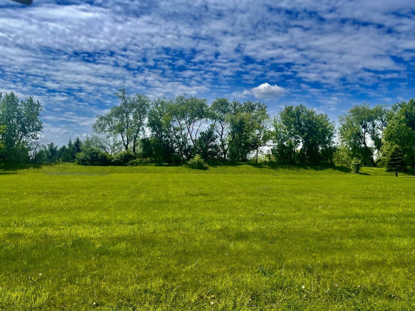 5205 Kaylins Way Ringwood, IL 60072 - Photo 2 of 5