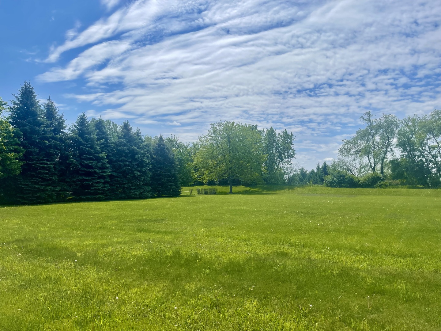 5205 Kaylins Way Ringwood, IL 60072 - Photo 3 of 5