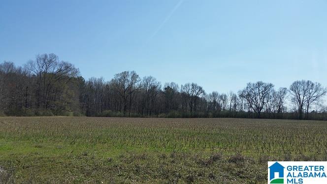 Turner Mill Road Talladega, AL 35160 - Photo 3 of 10