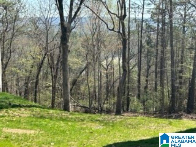1601 Morning Sun Circle, Unit CONDO Birmingham, AL 35242 - Photo 23 of 23