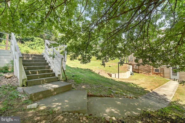 a view of a yard with plants and large trees