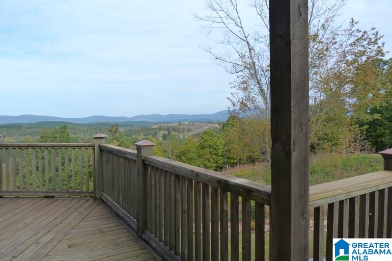 265 Bowden Ridge Road Lineville, AL 36266 - Photo 42 of 46