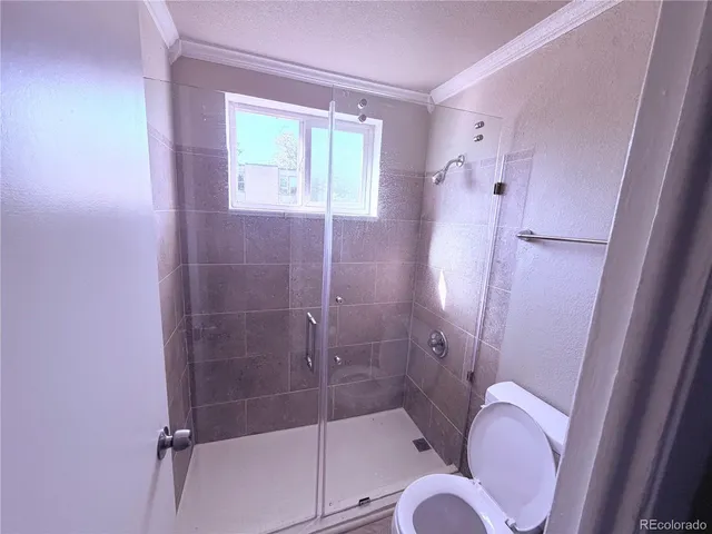 a bathroom with a shower and a toilet