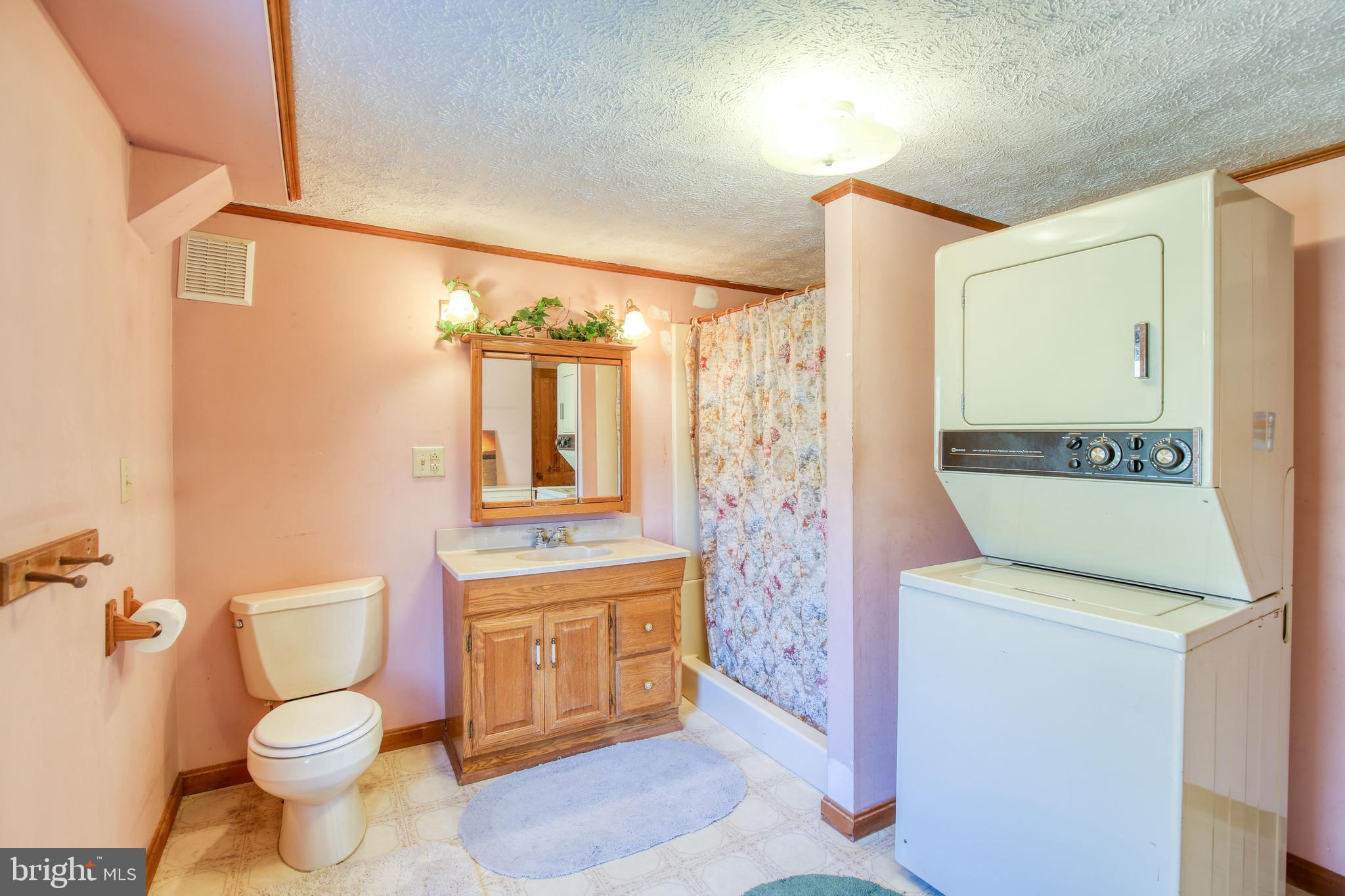 3612 Back Mountain Road Winchester, VA 22602 - Photo 33 of 47 Upper 1 Full Bath with Laundry