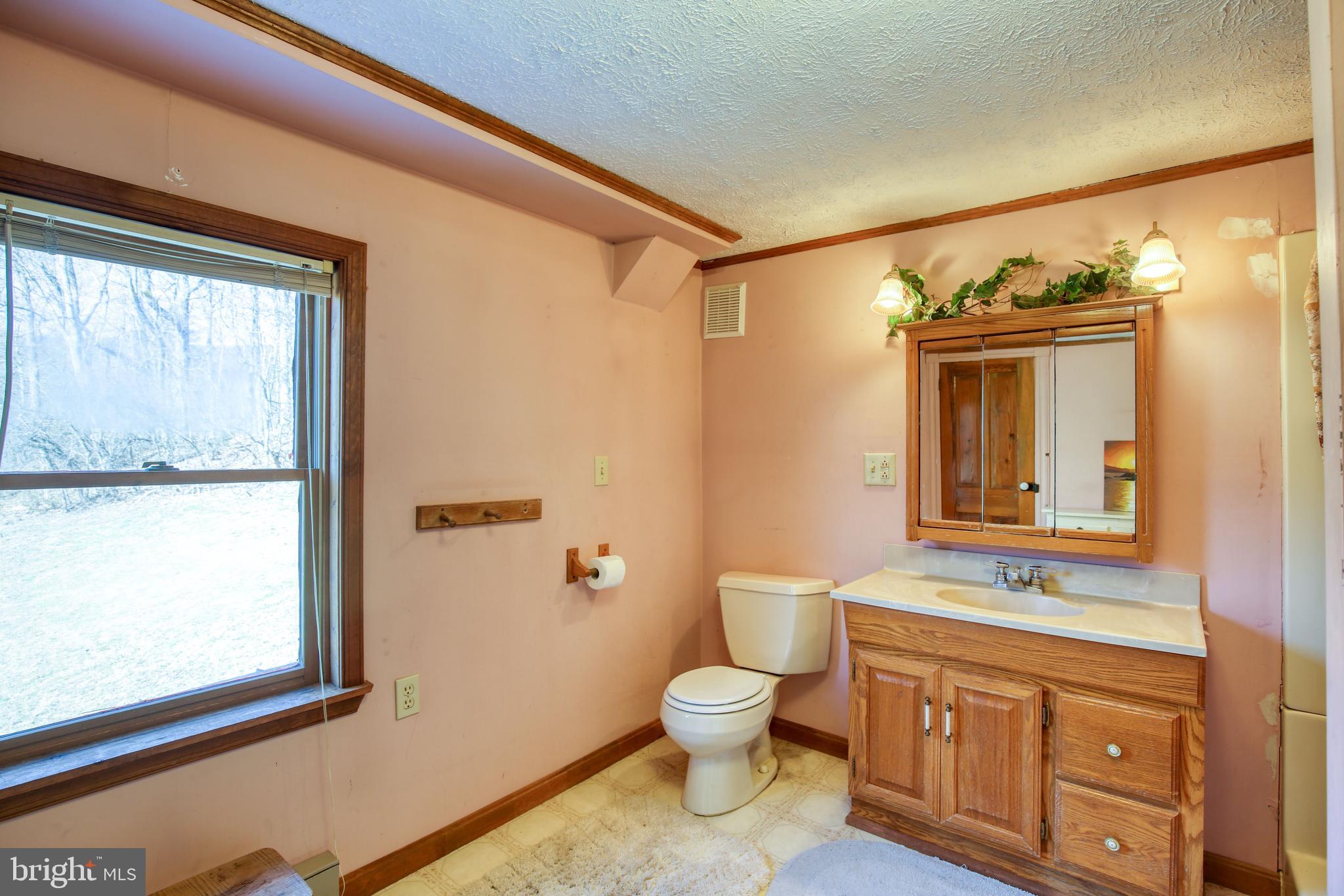 3612 Back Mountain Road Winchester, VA 22602 - Photo 35 of 47 Upper 1 Full Bath