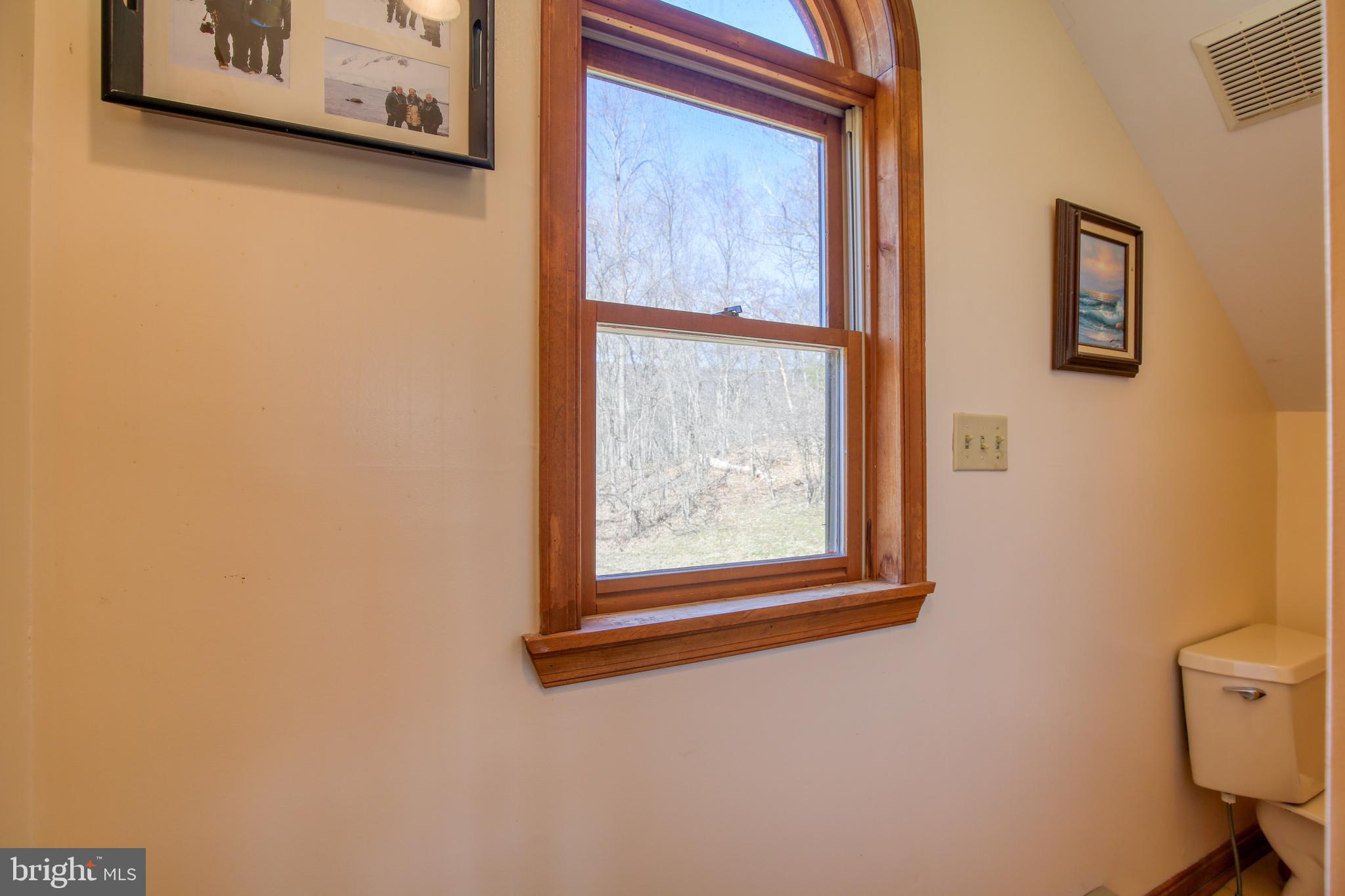 3612 Back Mountain Road Winchester, VA 22602 - Photo 38 of 47 Upper 2 Primary Bath view