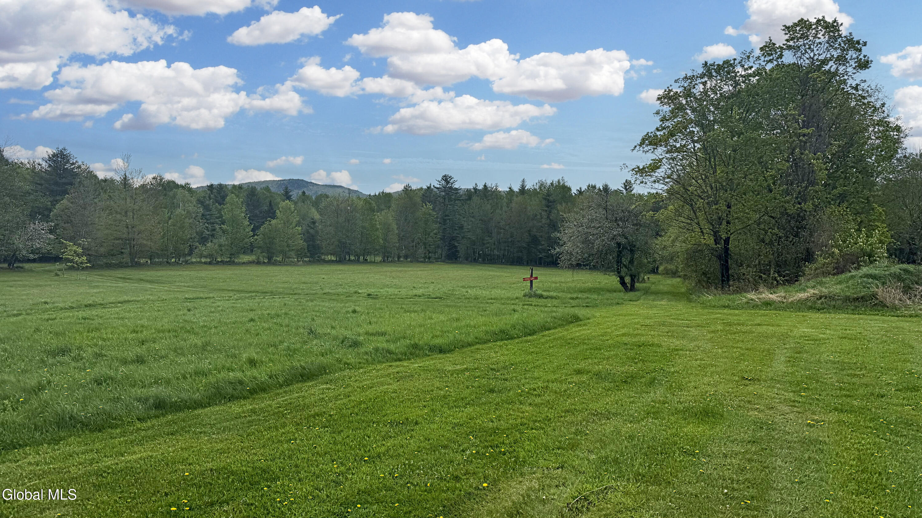 326 Harvey Road Johnsburg, NY 12856 - Photo 81 of 129 IMG_4072