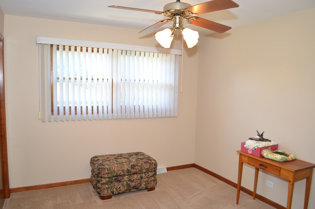29W281 Wagner Road Naperville, IL 60564 - Photo 7 of 24