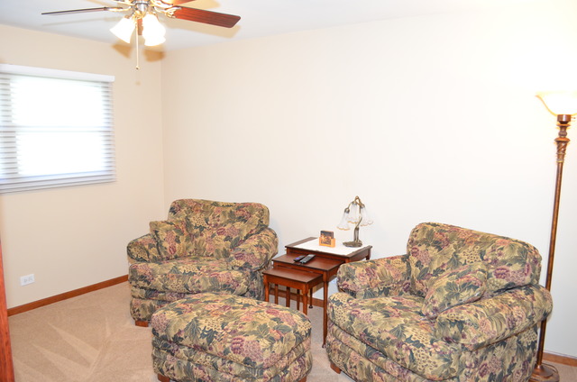 29W281 Wagner Road Naperville, IL 60564 - Photo 8 of 24