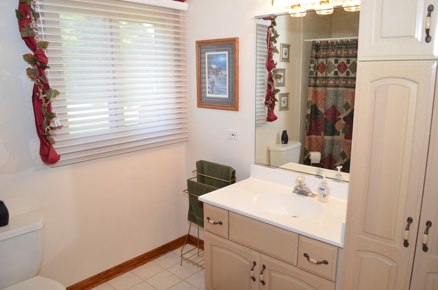 29W281 Wagner Road Naperville, IL 60564 - Photo 9 of 24