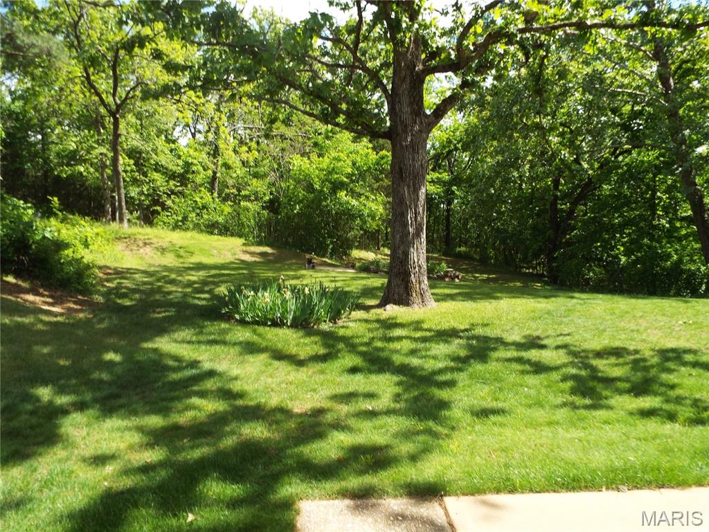 21482 Teardrop Road Devils Elbow, MO 65457 - Photo 16 of 86