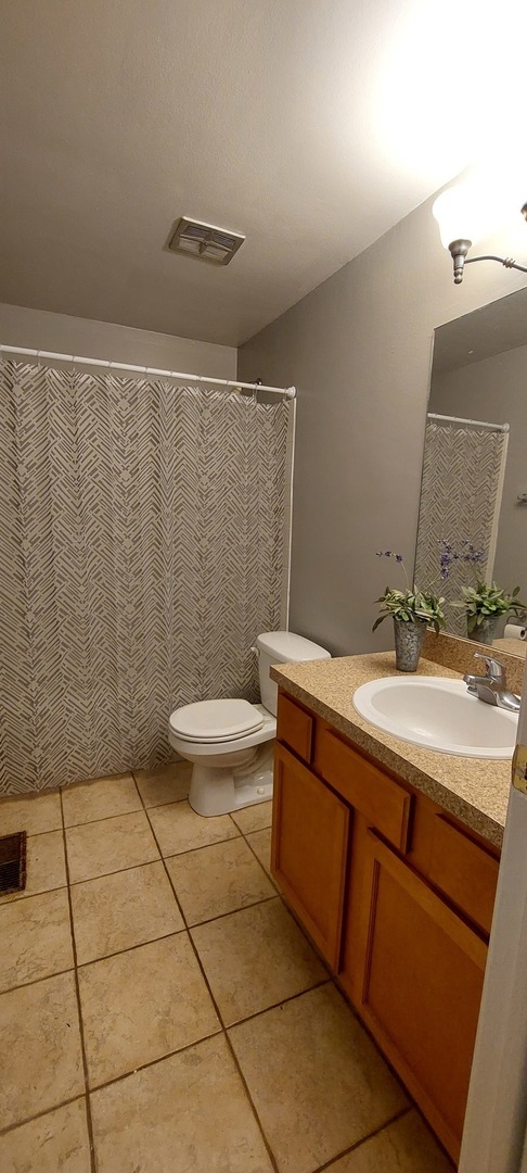 6010 Forest View Road, Unit 1A Lisle, IL 60532 - Photo 11 of 39 a bathroom with a sink a toilet and a mirror