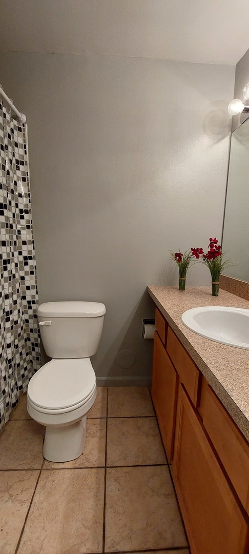 6010 Forest View Road, Unit 1A Lisle, IL 60532 - Photo 13 of 39 a bathroom with a granite countertop toilet and a sink