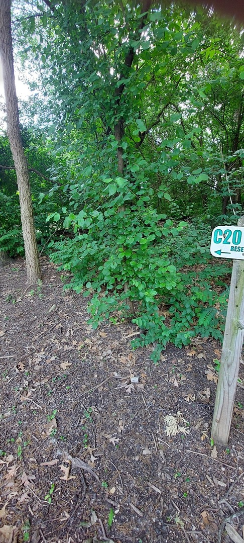6010 Forest View Road, Unit 1A Lisle, IL 60532 - Photo 24 of 39 a view of a forest with trees
