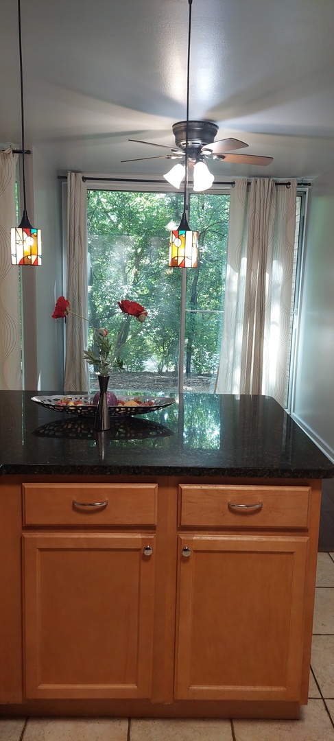 6010 Forest View Road, Unit 1A Lisle, IL 60532 - Photo 7 of 39 a view of a room with a large window and chandelier