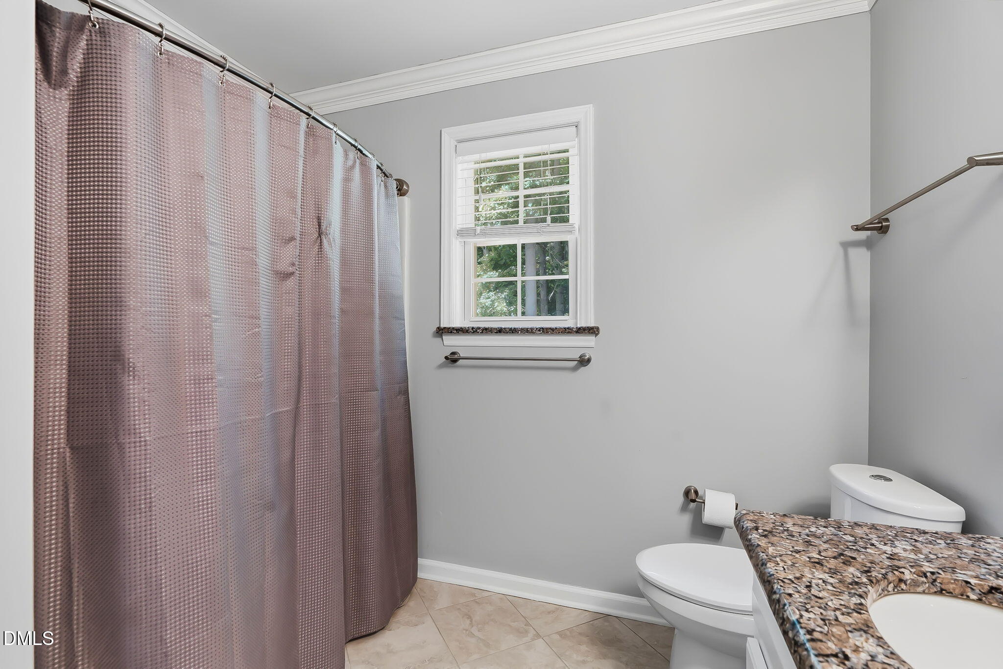 1112 Tyler Farms Drive Raleigh, NC 27603 - Photo 38 of 78 a bathroom with a granite countertop window and a toilet