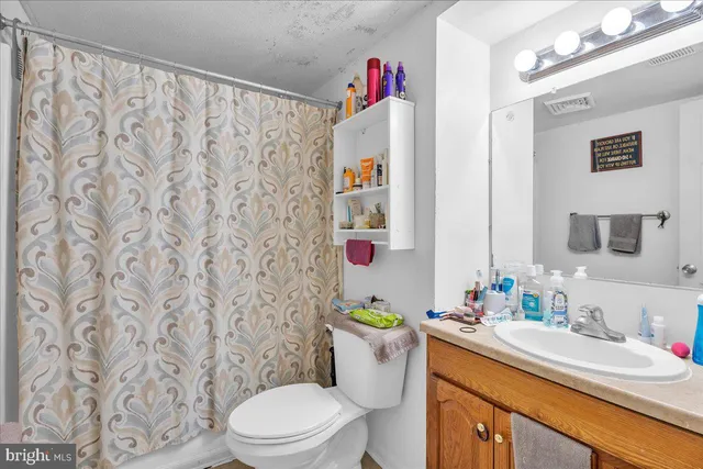 a bathroom with a sink a toilet and shower curtain