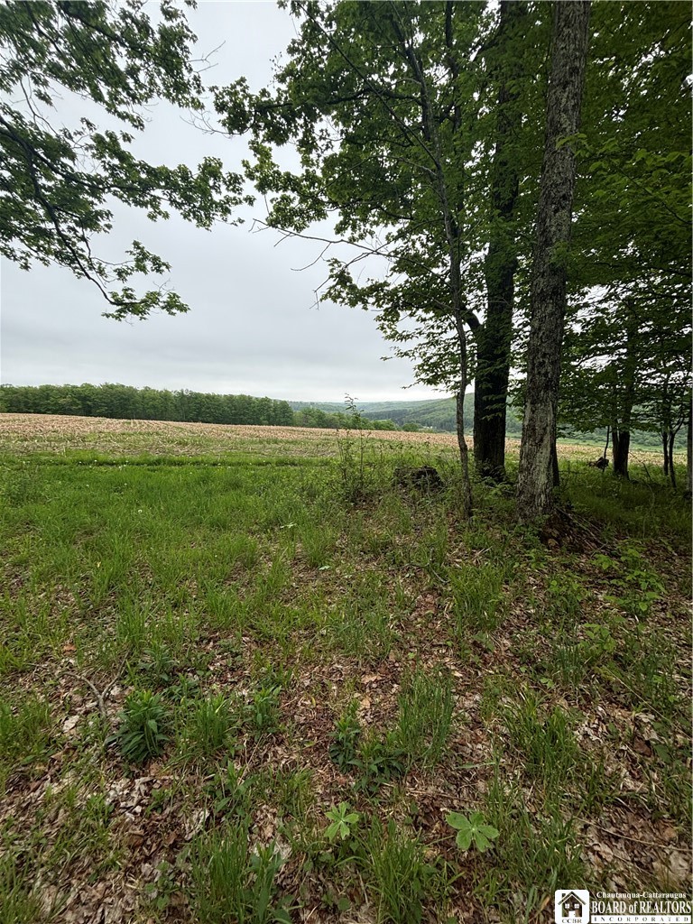 Fulmer Valley Road Wellsville, NY 14895 - Photo 47 of 49