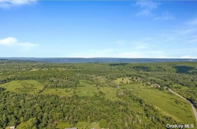 $424,999 | L8-111 Churches Rd Ridge, Delanson, NY 12053