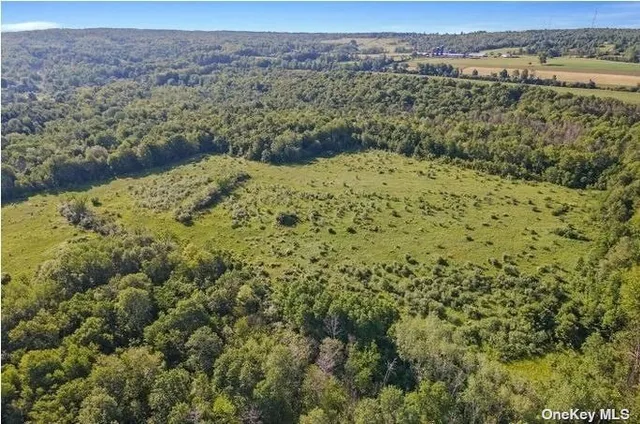 $424,999 | L8-111 Churches Rd Ridge, Delanson, NY 12053