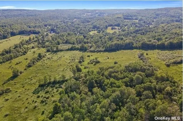 $424,999 | L8-111 Churches Rd Ridge, Delanson, NY 12053