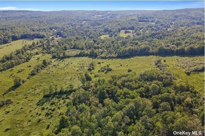 L8-111 Churches Rd Ridge Delanson, NY 12053 - Photo 12 of 29