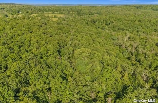 $424,999 | L8-111 Churches Rd Ridge, Delanson, NY 12053