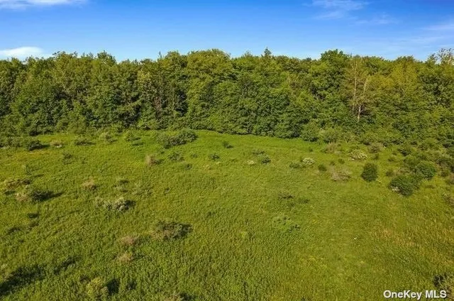 $424,999 | L8-111 Churches Rd Ridge, Delanson, NY 12053