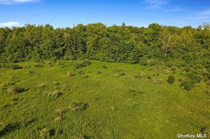 L8-111 Churches Rd Ridge Delanson, NY 12053 - Photo 15 of 29