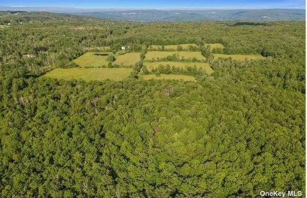 $424,999 | L8-111 Churches Rd Ridge, Delanson, NY 12053
