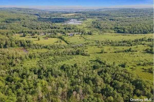 $424,999 | L8-111 Churches Rd Ridge, Delanson, NY 12053