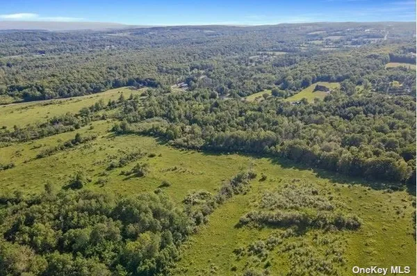 $424,999 | L8-111 Churches Rd Ridge, Delanson, NY 12053