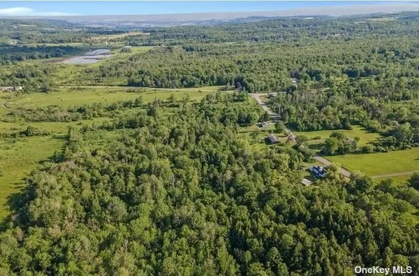 $424,999 | L8-111 Churches Rd Ridge, Delanson, NY 12053