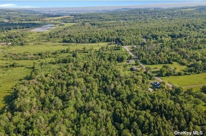 L8-111 Churches Rd Ridge Delanson, NY 12053 - Photo 19 of 29