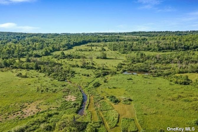 L8-111 Churches Rd Ridge Delanson, NY 12053 - Photo 20 of 29