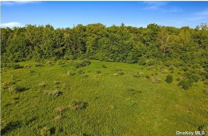 L8-111 Churches Rd Ridge Delanson, NY 12053 - Photo 2 of 29