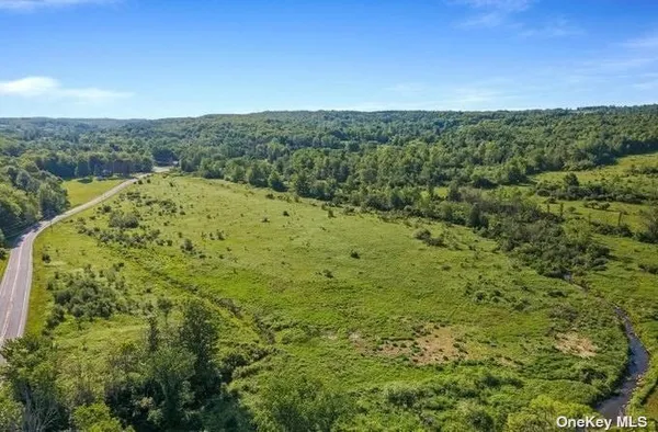 $424,999 | L8-111 Churches Rd Ridge, Delanson, NY 12053