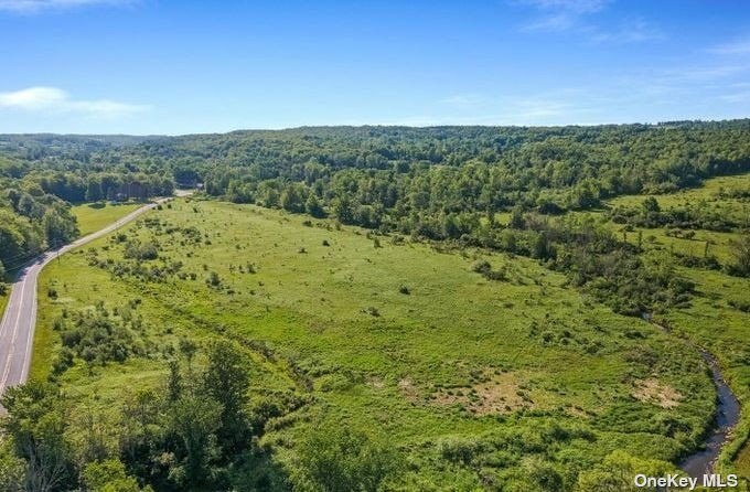 L8-111 Churches Rd Ridge Delanson, NY 12053 - Photo 21 of 29